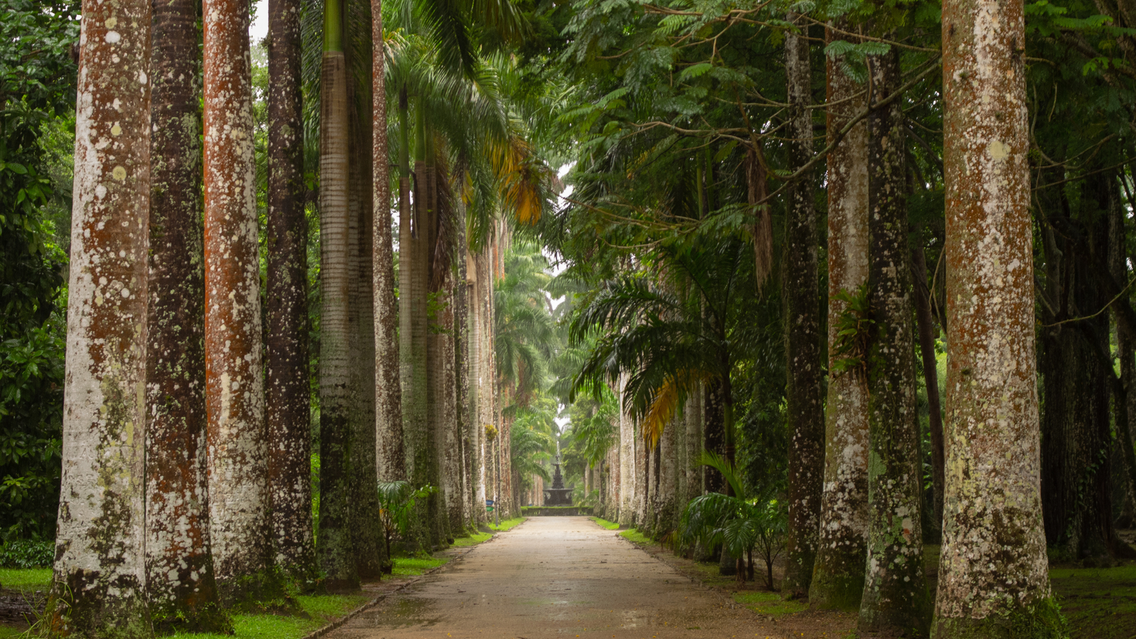 Jardim Botanico, Rio de Janeiro, Brasil