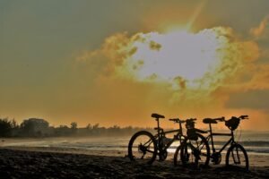 cycling, sport, sea-1466218.jpg