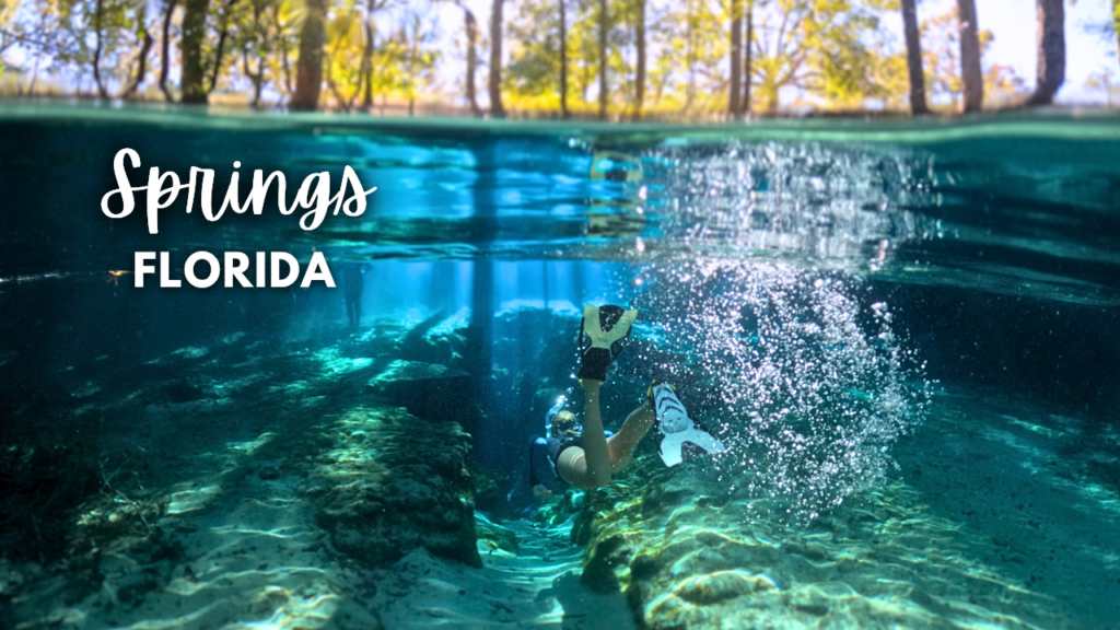 springs florida