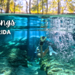 springs florida